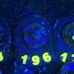 Acropora sp S, WYSIWYG